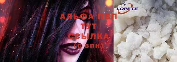 шишки Заводоуковск
