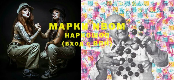 шишки Заводоуковск