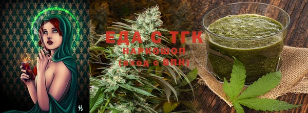 шишки Заводоуковск