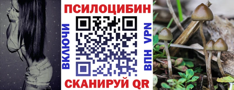 Галлюциногенные грибы мицелий блэк спрут ССЫЛКА Касли
